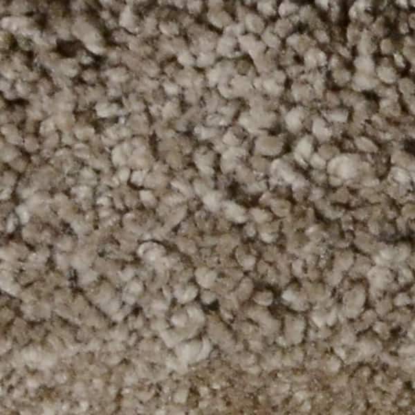 Home Decorators Collection Carpet Sample - Great Moments I (S) - Color Holden Aces Texture 8 in. x 8 in.