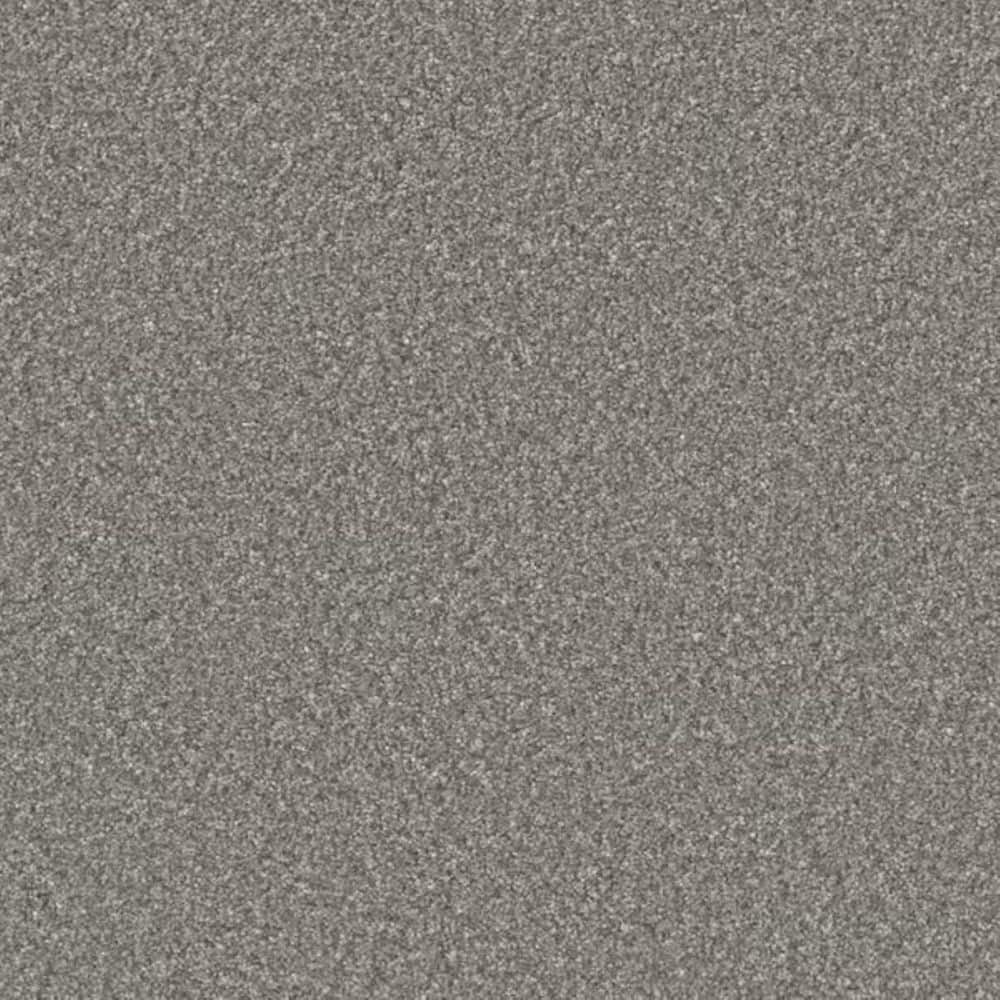 8 in. x 8 in. Texture Carpet Sample-Gentle Glimmer II-Color Hope price history on PriceWatchPro