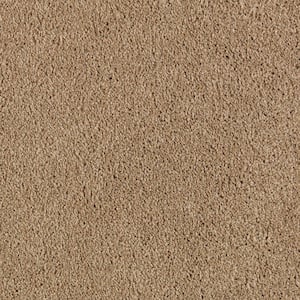 Ambrosina II  - Golden Brown - Beige 38 oz. Triexta Texture Installed Carpet