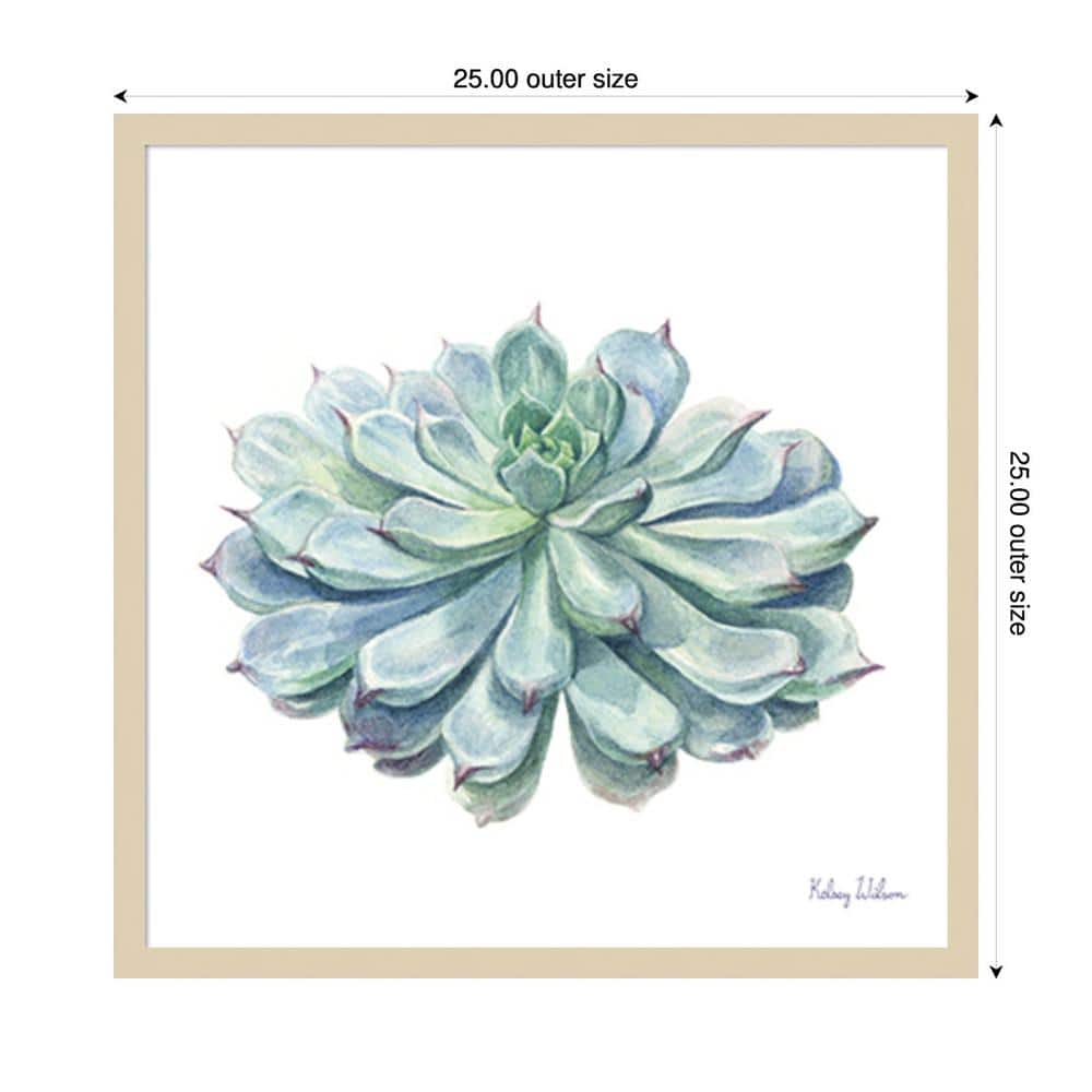 Blue-Green Succulent Watercolor 25"x25" Wood Framed Wall Art