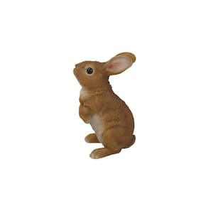 Rabbit Standing