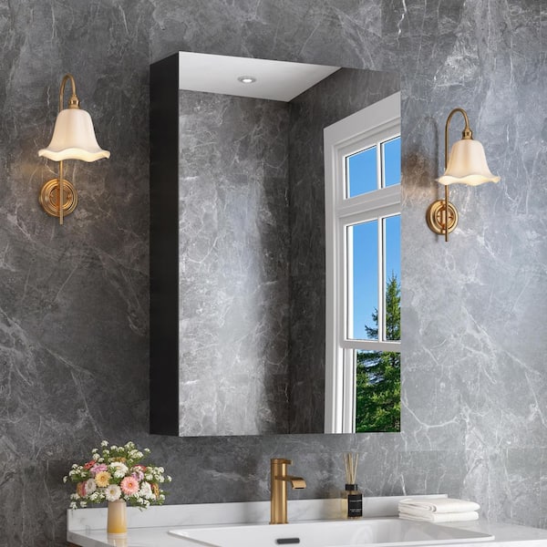 Ziyudura 12 in. W x 24 in. H Rectangular Aluminum Recessed/Surface Mount Medicine Cabinet with Mirror, DTC Hinge, Black