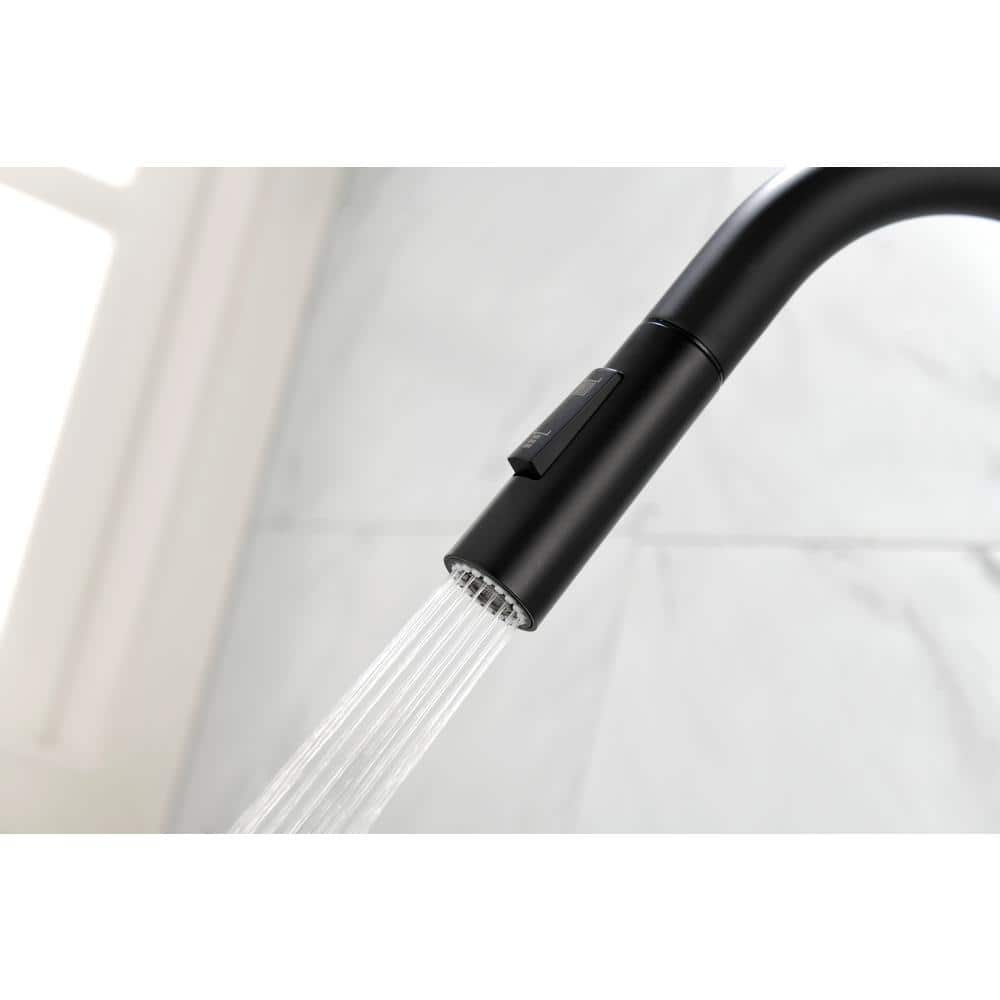 Matte Black Single Handle High-Arc Kitchen Faucet with Pull-out Spray