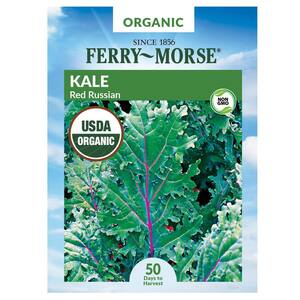 Organic Kale Red Vegetable Seed