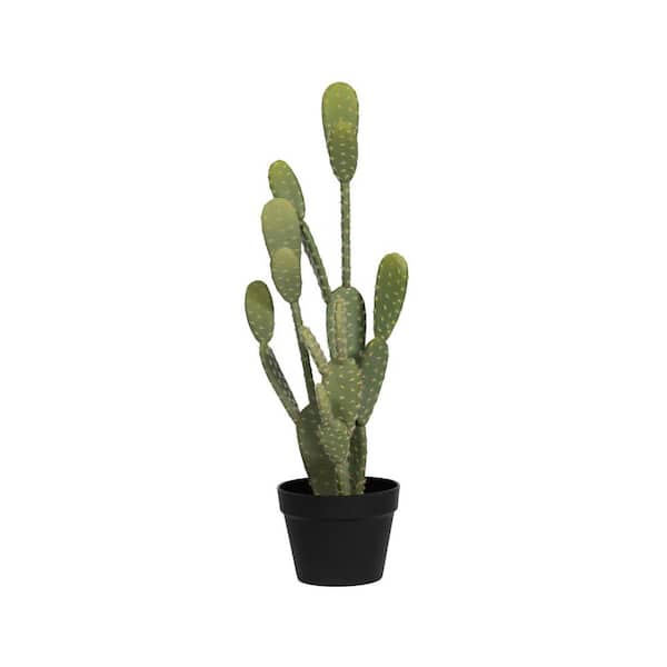 PotteryPots Cactus Opuntia 15.99 in. H Green Color Planter-made of