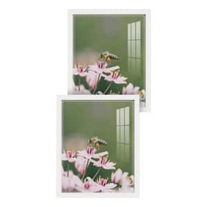 Modern 11 in. x 14 in. White Picture Frame (Set of 2)