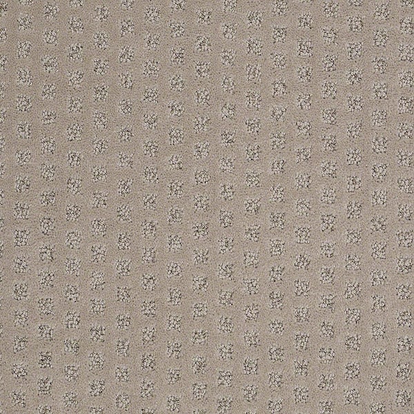 Lifeproof Crown - Dragonfly Wing - Brown 42.1 oz. Nylon Pattern Installed Carpet