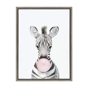 Bubble Gum Zebra by Amy Peterson Framed Animal Canvas Wall Art Print 24.00 in. x 18.00 in.