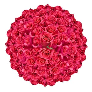 Globalrose Fresh Light Pink Color Roses (100 Stems) livia-100-roses ...