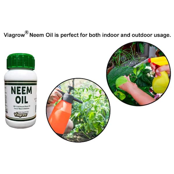 Viagrow 16 oz. Cold Pressed Neem Oil Seed Extract (Makes 24 Gal.) VNEEM8-2
