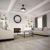 hunter-ceiling-fans-with-lights-51879-40.2