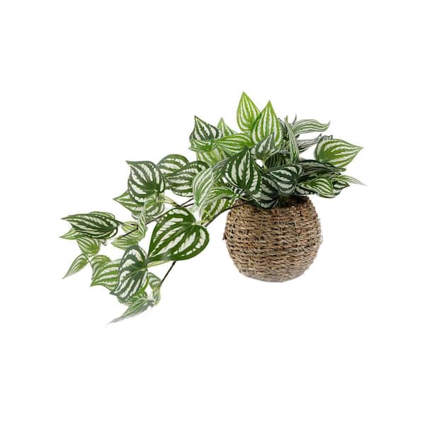 Flora Bunda 6 in. Brown Artificial Trailing Ivy in Basket