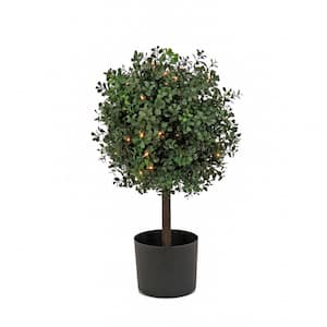 24 in. Pre-Lit Artificial Boxwood Single Ball Topiary in Nursery Pot, Green