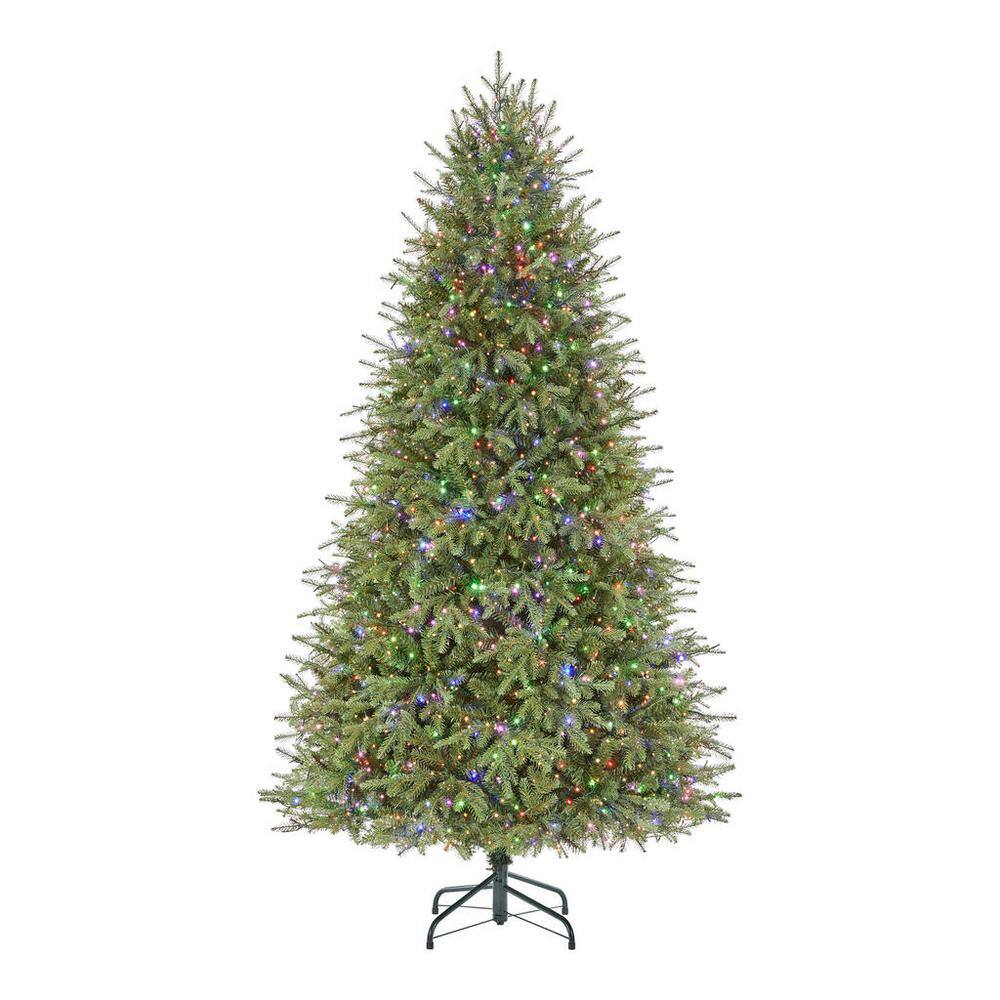 Buy 7.5 ft Grand Duchess Balsam Fir Christmas Tree Online at Lowest