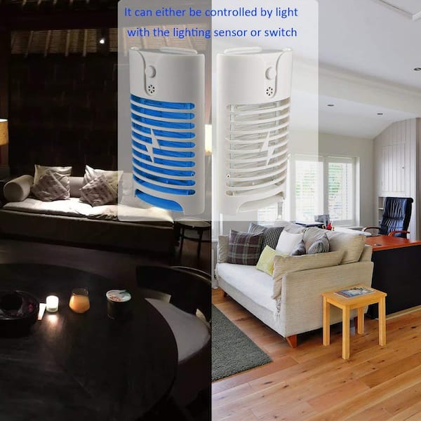 Rechargeable Indoor Insect and Flying Bugs Traps, Fruit Fly Gnat Mosquito  Killer with UV Light Fan, Sticky Glue Boards, No Zapper, Light Sensor  (Black) 