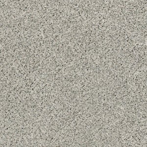 Karma I - Clarion - Beige 41.2 oz. Nylon Texture Installed Carpet
