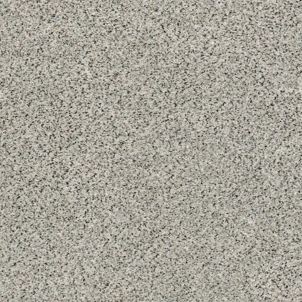 Lifeproof Karma II - Clarion - Beige 50.5 oz. Nylon Texture Installed Carpet