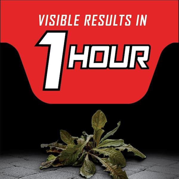 Ortho - GroundClear Year Long Vegetation Killer2 Concentrate, 1 Gal. Kills and Prevents Weeds Up to 12-Months