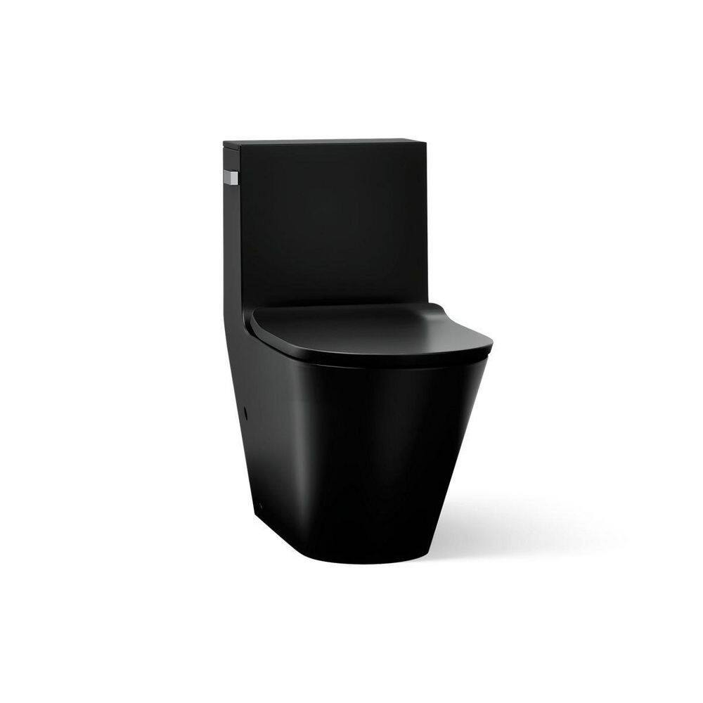 Brazn 12 in. 1-piece 0.8/1.28 GPF Dual Flush Elongated Toilet in H1d Black Seat Included price history on PriceWatchPro