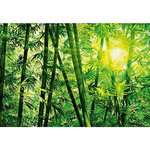 100 in. x 144 in. Bamboo Forest Wall Mural