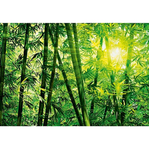 Ideal Decor 100 in. x 144 in. Bamboo Forest Wall Mural
