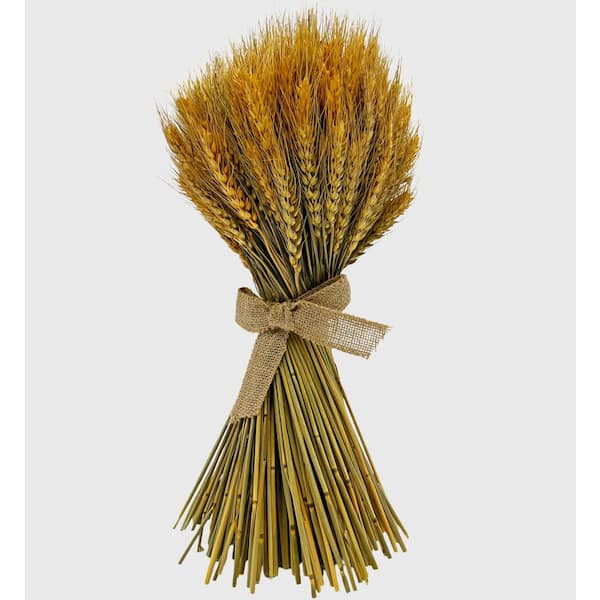 Preserved Decorative Wheat