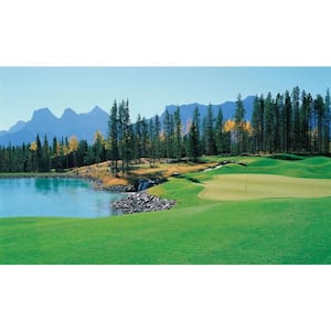 Golf View - Weather Proof Scene for Window Wells or Wall Mural - 100 in. x 60 in.