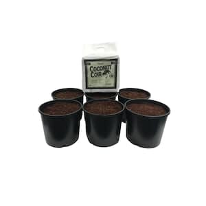 3 Gal. Round Heavy-Duty Plastic Nursery Pots with Coir (6-Pack)
