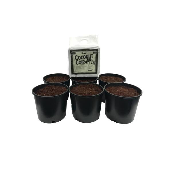 Viagrow 3 Gal. Round Heavy-Duty Plastic Nursery Pots with Coir (6-Pack)