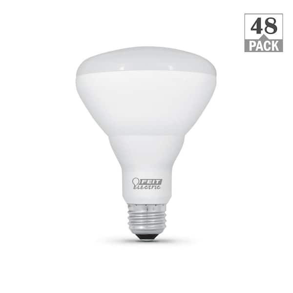 Assassin Teoretisk lærer Feit Electric 65-Watt Equivalent BR30 Dimmable CEC Enhance 90+ CRI LED Flood  Light Bulb, Soft White 2700K (48-Pack) BR30DM927CA10KMP12/4 - The Home Depot