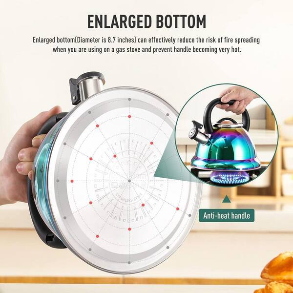 3L Whistling Kettle + 2pk Tea Leaf Infusers Stainless Steel Iridescent Rainbow e