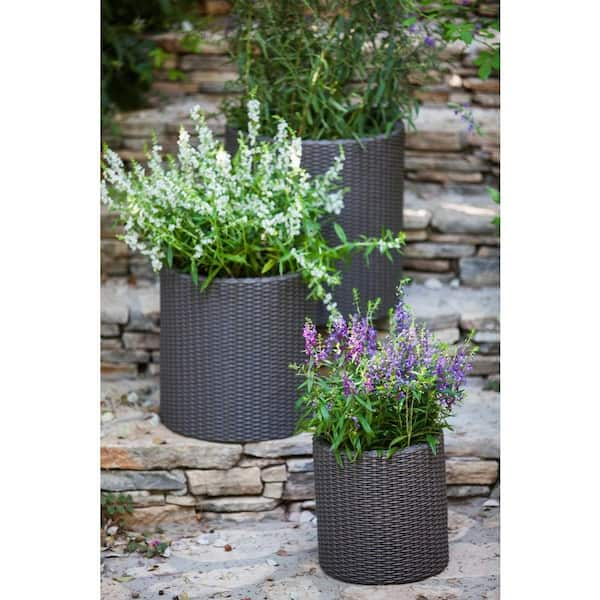 Gentleman vriendelijk Correspondentie een miljoen Keter Round Brown Rattan Resin Planters (Set of 3) 212171 - The Home Depot