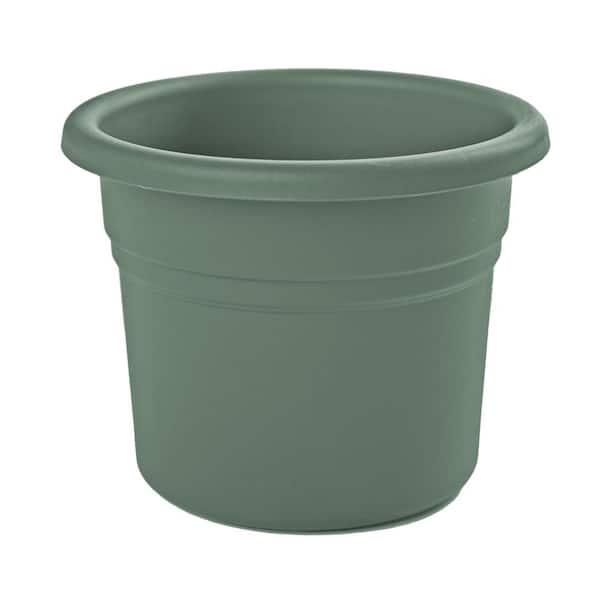 Posy 12.5 in. L x 12.5 in. W x 10.5 in. H 12 qt. Basil Indoor/Outdoor Plastic Decorative Pot Planter