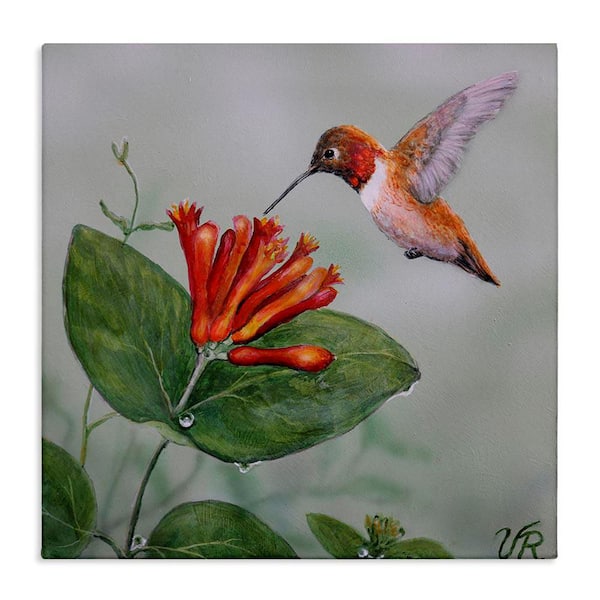 Stupell Industries Red Hummingbird and Flower by Valerie Rogers Unframed Animal Graphic Art Print 17 in. x 17 in.