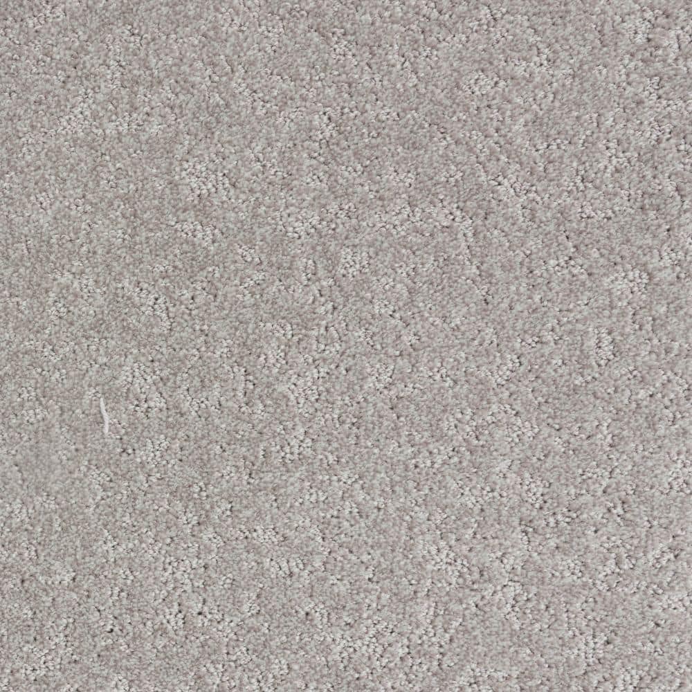 8 in. x 8 in. Pattern Carpet Sample-Warm Woven-Color Dawn price history on PriceWatchPro