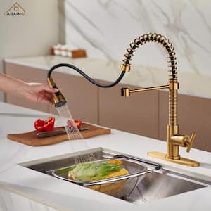 Single-Handle Pull Down Sprayer Kitchen Faucet with Power Clean Multi-Function Spray in Brushed Gold