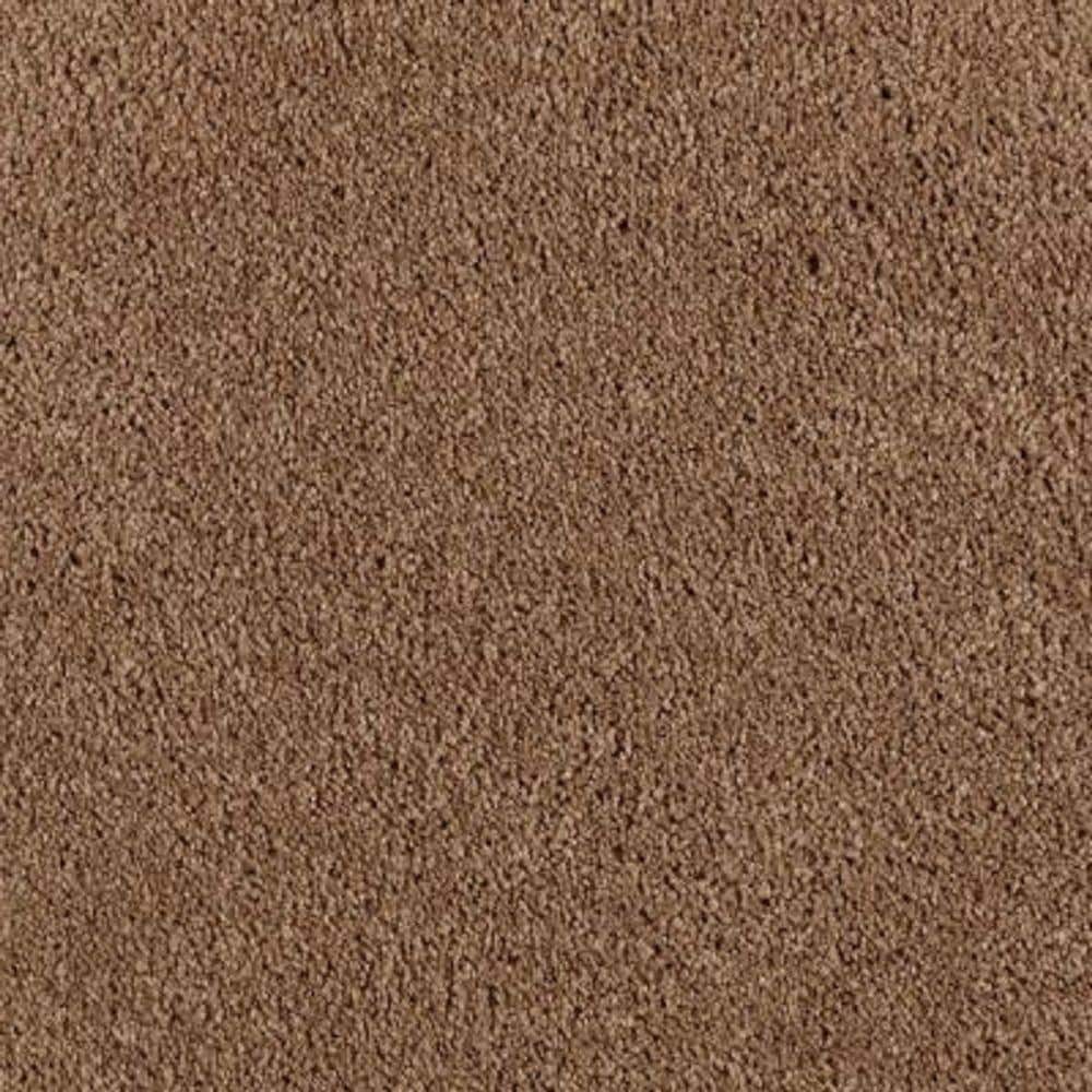 8 in. x 8 in. Texture Carpet Sample - Ambrosina II -Color Cigar Leaf price history on PriceWatchPro