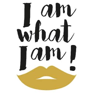 Metal What I Am Wall Quote Decal