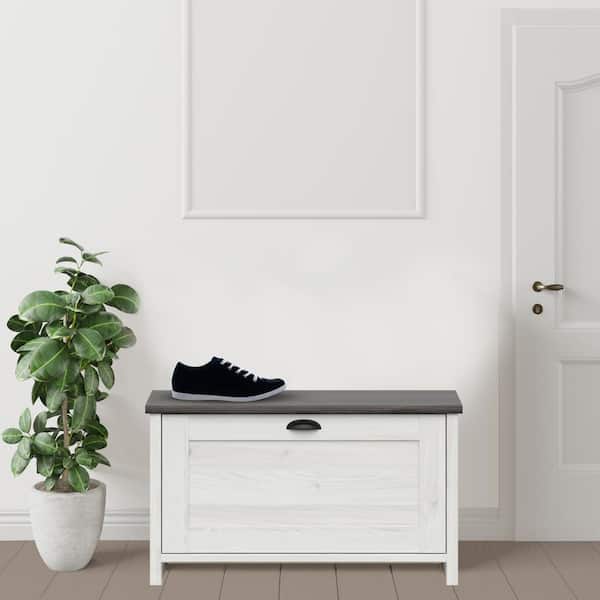 Lifestyle Solutions Walton 19.1 in. H x 33.27 in. White Finished Wood Shoe Storage Cabinet