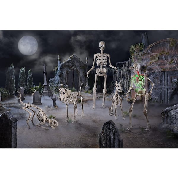 "12 ft. Giant Skelly, 6.5 ft. LED Ultra Skelly, 5 ft. Skelly's Dog and Cat and 7 ft. Skelly's Dog Combo"