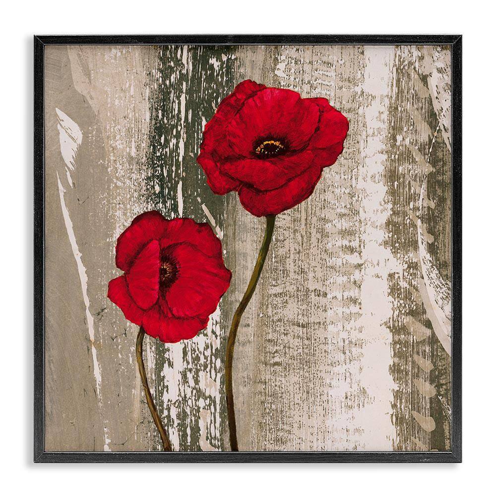 Rustic Red Anemones by Brian Foster Black Framed Nature Giclee Art Print 12 in. x 12 in. price history on PriceWatchPro