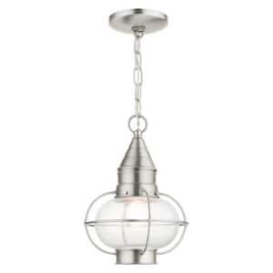 Hennington 11.75 in. 1-Light Brushed Nickel Dimmable Outdoor Pendant Light with Clear Glass and No Bulbs Included
