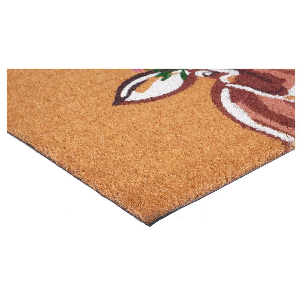 Sassy Cow Coir Outdoor Doormat 29"L x 17"W with Vinyl Back