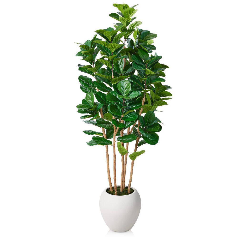DR.Planzen Artificial 8 ft. Fiddle Leaf Fig Tree with White