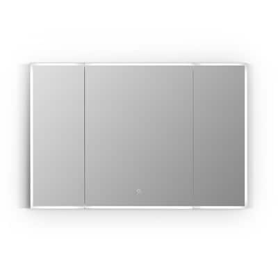 Carsoli 48 in. W x 32 in. H Medium Rectangular Silver Recessed/Surface Mount Medicine Cabinet with Mirror and Lighting