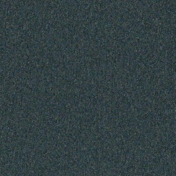 TrafficMaster Ramble On - Cosmo - Blue 20 oz. SD Polyester Loop Installed Carpet