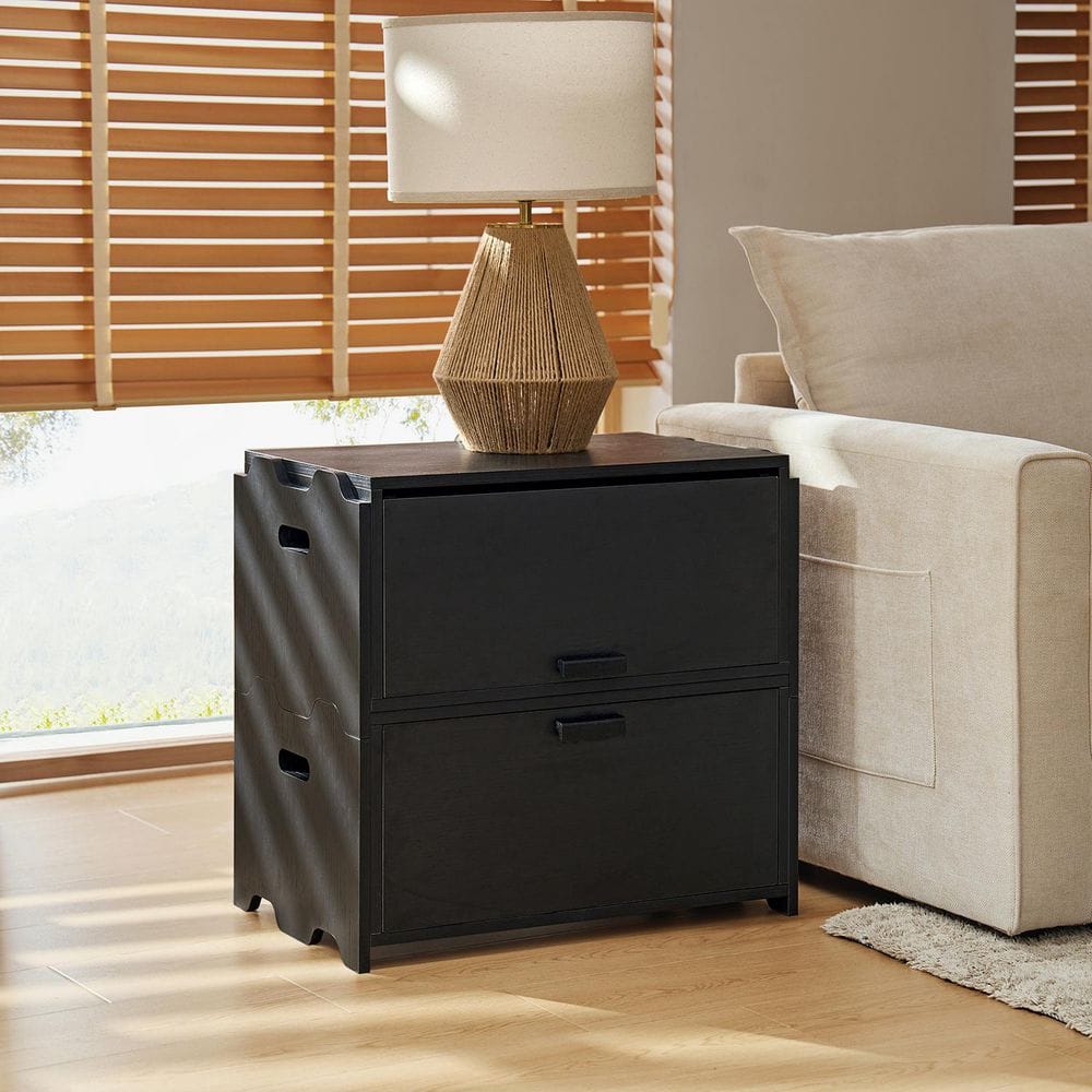 JAYDEN CREATION Jakob Black 25 in. Tall Modern 2-Drawer Flip-Top