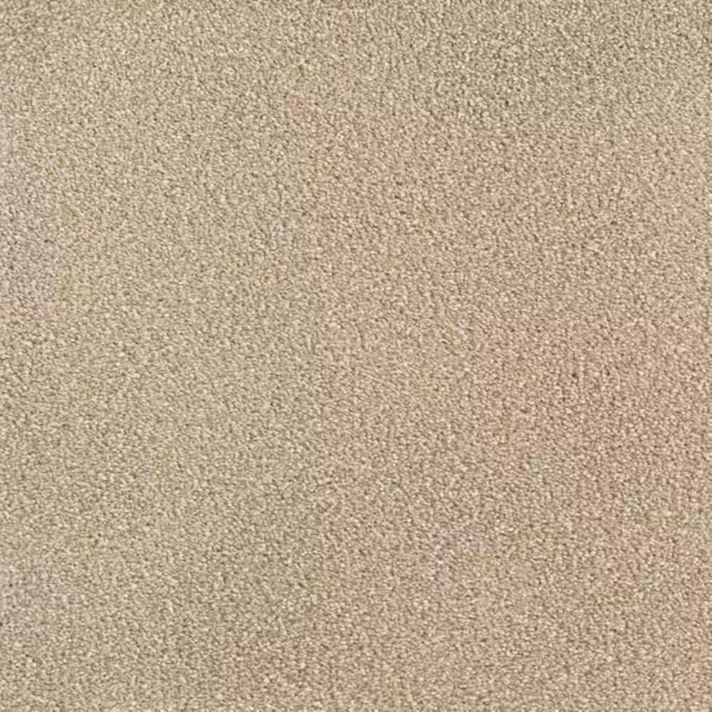 8 in. x 8 in. Texture Carpet Sample-Soft Breath Plus III-Color Hillcrest price history on PriceWatchPro