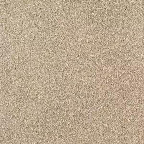 8 in. x 8 in. Texture Carpet Sample-Soft Breath Plus III-Color Hillcrest