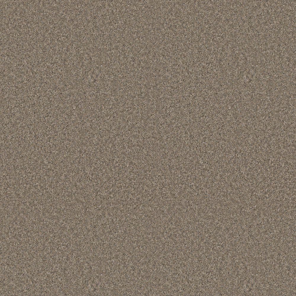 8 in. x 8 in. Texture Carpet Sample - Sunshine Cottage - Color Ball Glove price history on PriceWatchPro